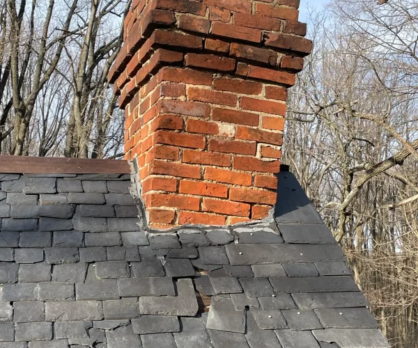 backyard-facelift-031