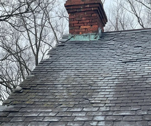 backyard-facelift-032