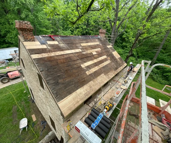 backyard-facelift-034