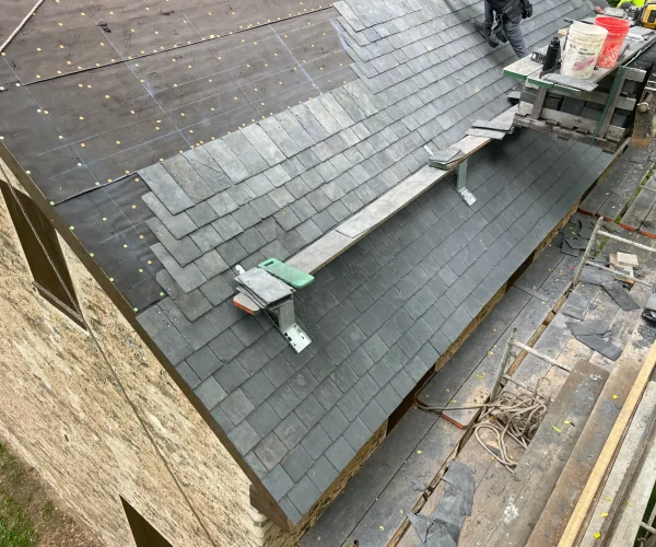 backyard-facelift-035