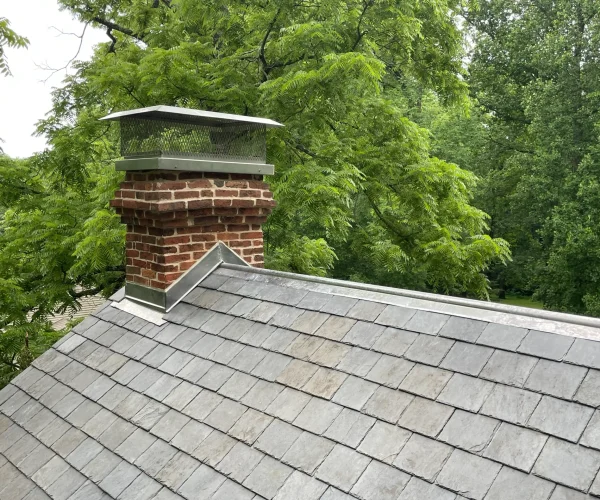 backyard-facelift-038