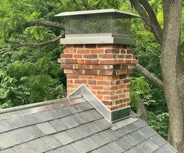 backyard-facelift-039