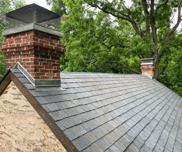 backyard-facelift-040