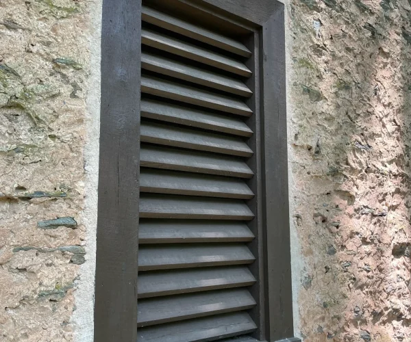 backyard-facelift-044